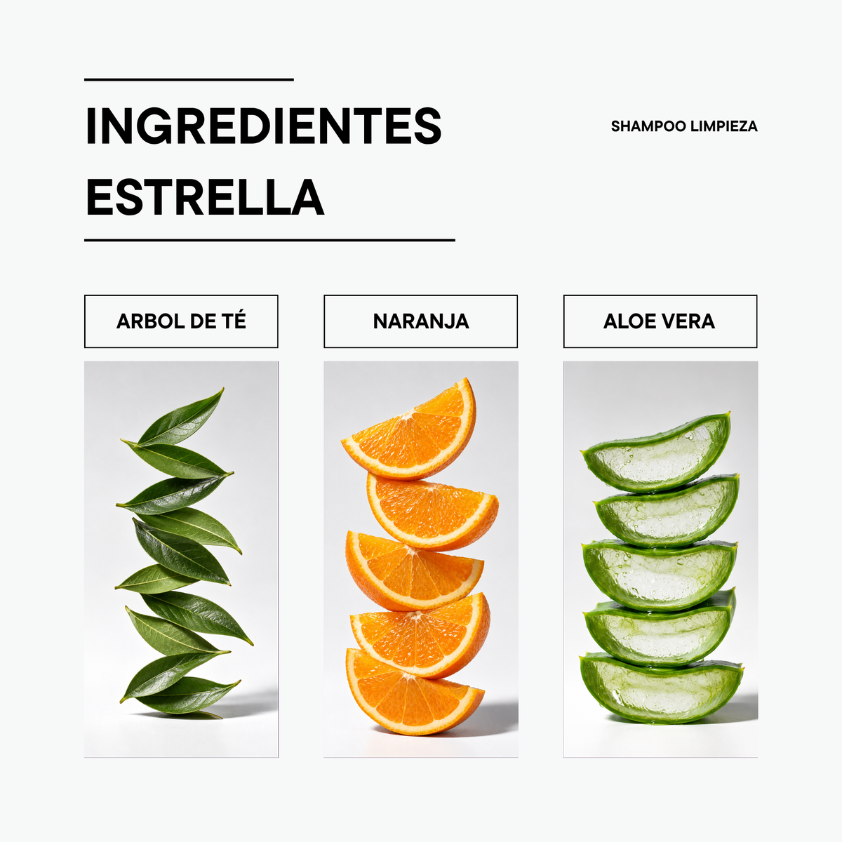 Shampoo de Limpieza Profunda Tea Tree 720 ml