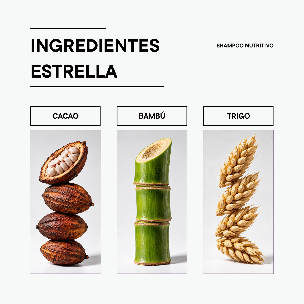 Shampoo Nutritivo Cacao & Bambú 720 ml